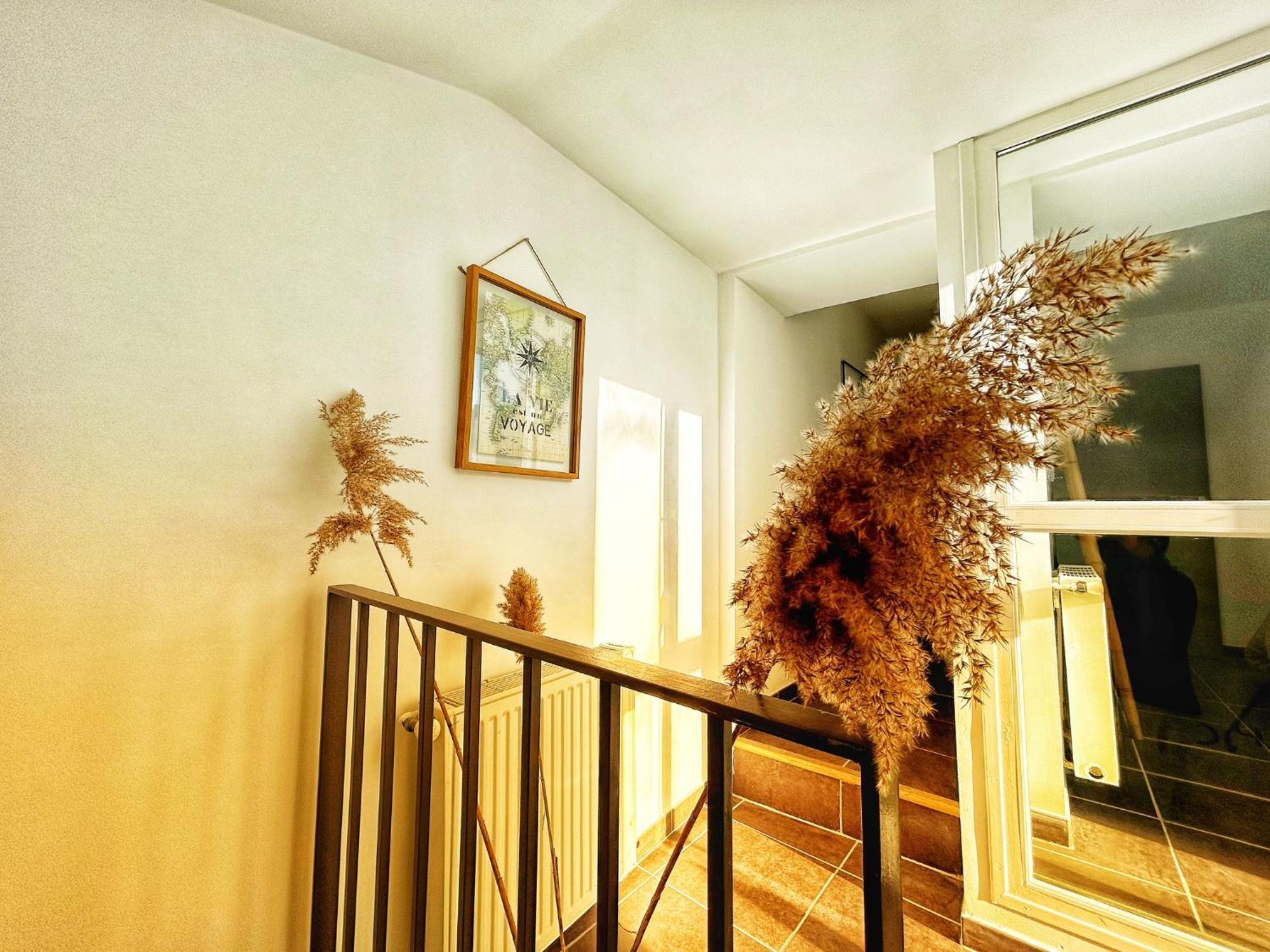 Olive Serenity Arles Exterior foto